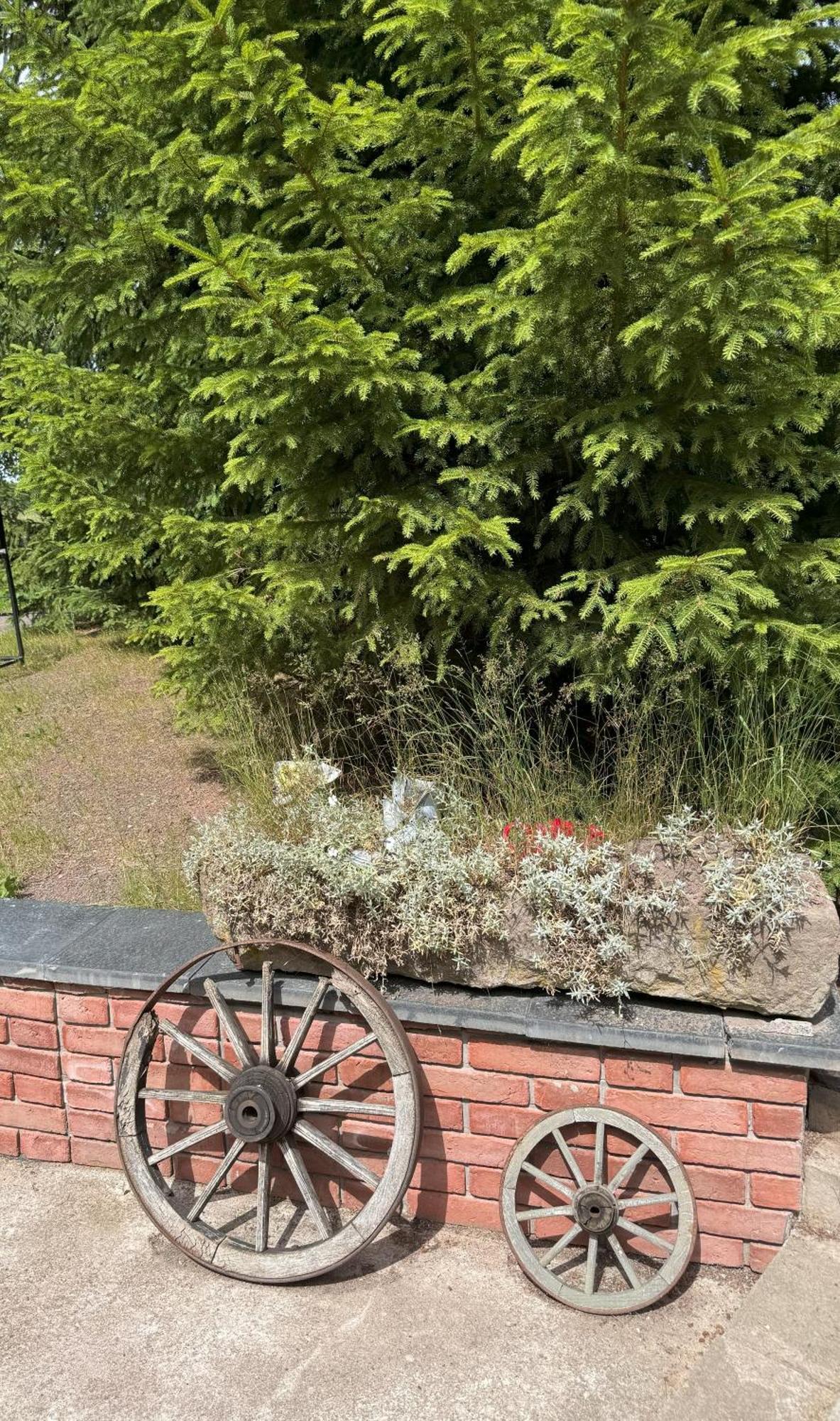Marchewkowe Pole Villa Sosnina Exteriör bild