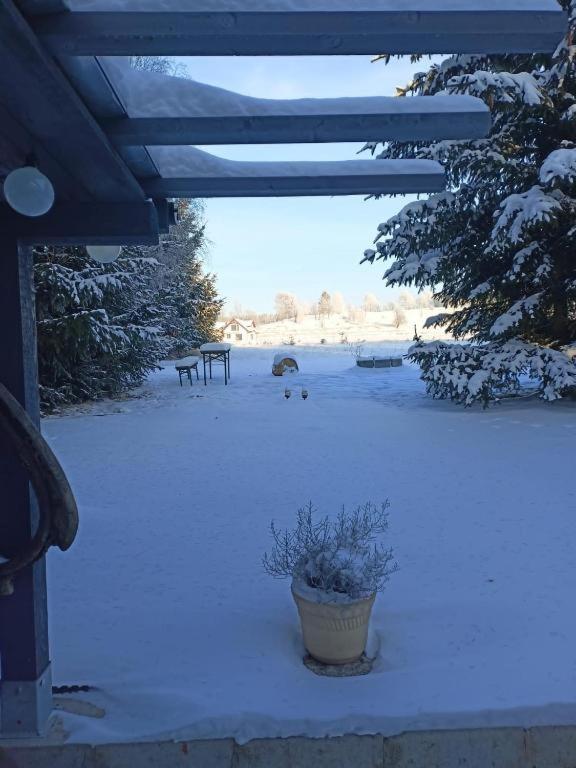 Marchewkowe Pole Villa Sosnina Exteriör bild