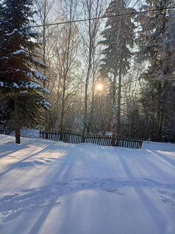 Marchewkowe Pole Villa Sosnina Exteriör bild